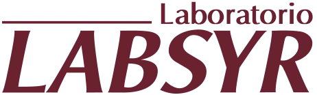 Labsyr Logo